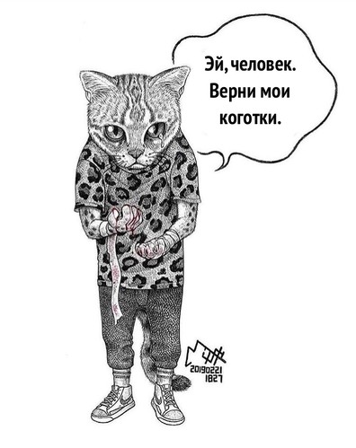 УДАЛЕНИЕ КОГТЕЙ У КОШЕК - 16 Июля 2019 - Частный приют для кошек Томасина